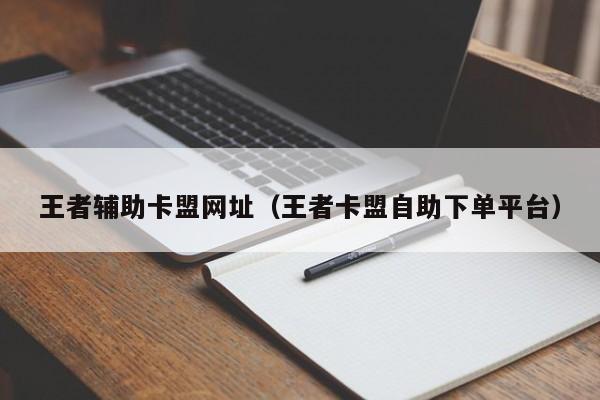 王者辅助卡盟网址（王者卡盟自助下单平台）