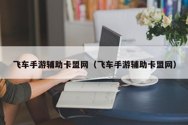 飞车手游辅助卡盟网（飞车手游辅助卡盟网）