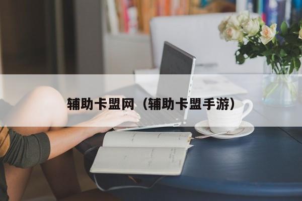辅助卡盟网（辅助卡盟手游）